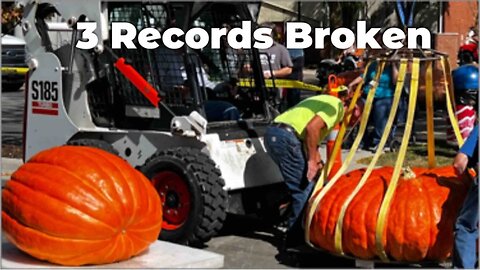 Perfect Pumpkin plus 3 records broken