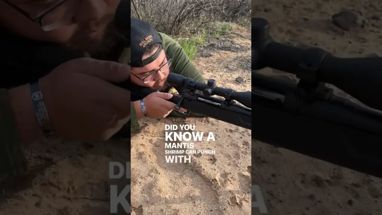 Scoped in Pt. 11! watch out rocky! #shorts #didyouknow #facts #shooting #outdoors