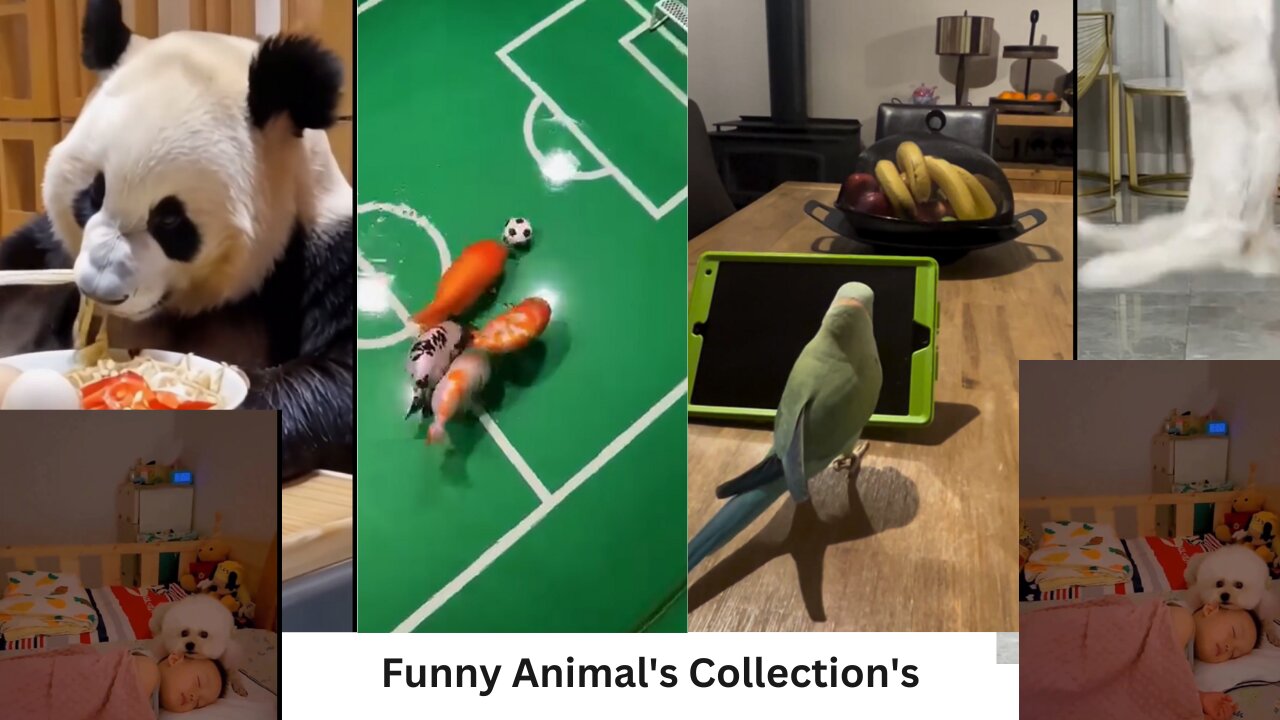 "Adorable Mischief: What These Animals Do When You're Not Looking"