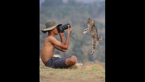 Funny animal videos 2023