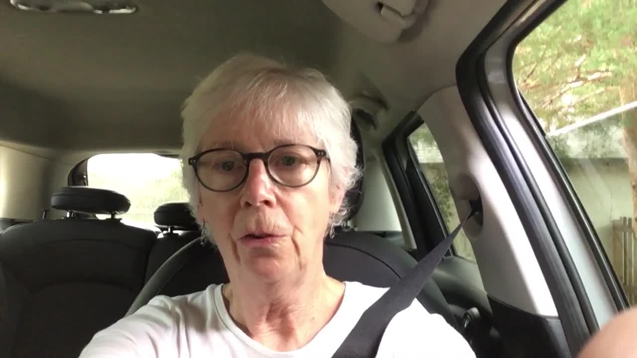 Kathy Riegelman Diary Three