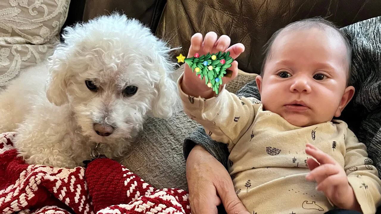 My Son & Quincy's First Christmas Together!