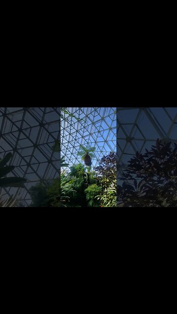 Step Inside the $6M Garden of Eden: World's Rarest Plants Revealed! 🌿💎