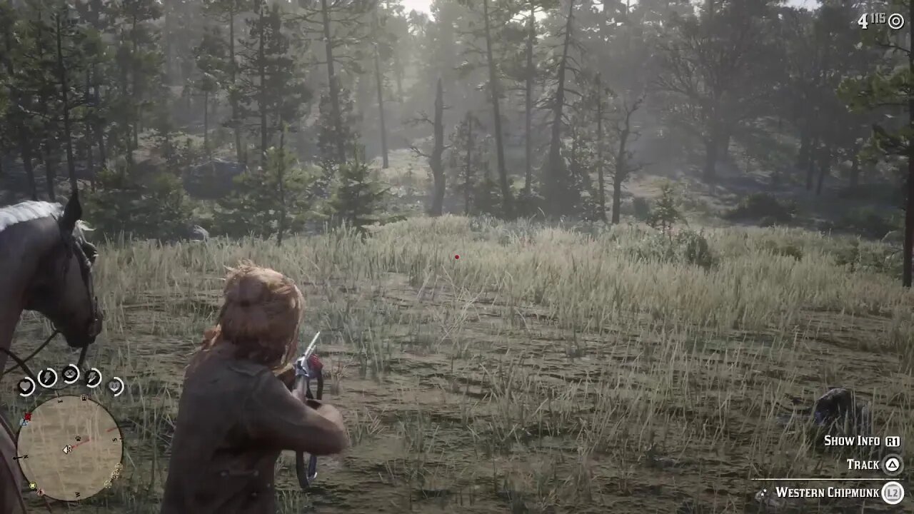 RDR2 Hunting Season