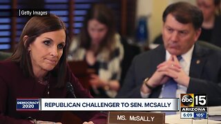 Martha McSally picks up primary challenge