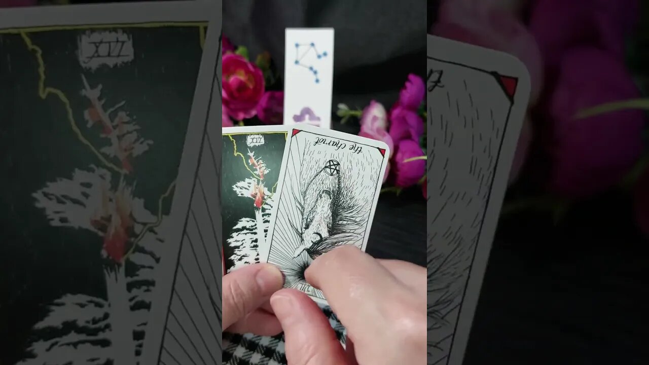Libra tarot reading quick Insight #shorttarot