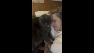 Even a mommy needs a mommy ❤️🐈‍⬛