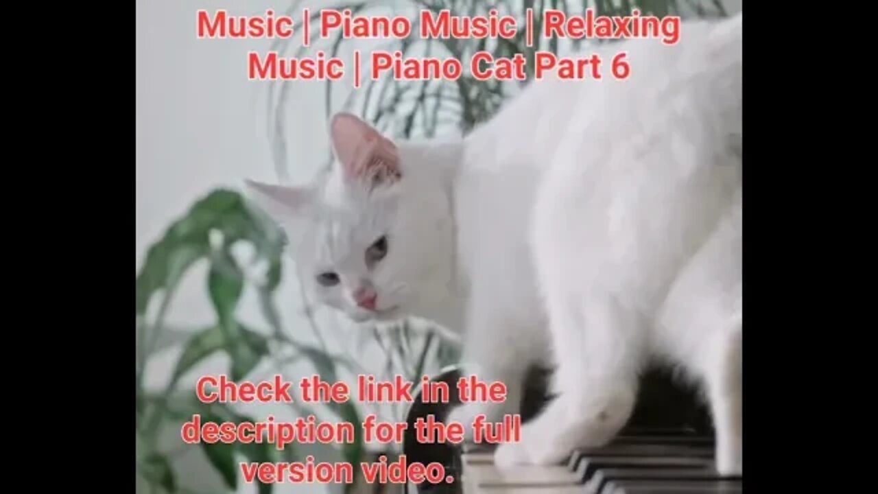 15 Second Short Of Best Meditation Music | Piano Music | Relaxing Music | Piano Cat Part 6 #shorts