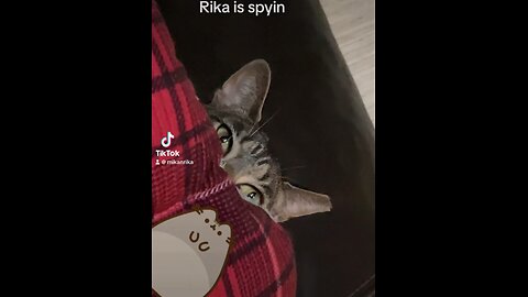 Careful or she will scare u