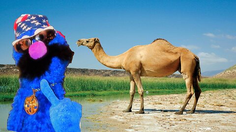 HUMP DAY | Middle of the Week LIVE
