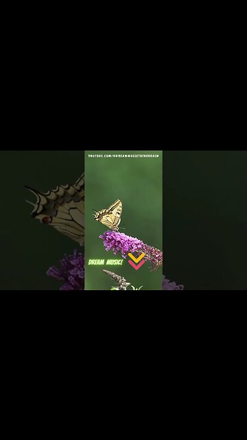 40 Seconds of Soothing White Noise #WhiteNoise #Relaxation #short #shorts