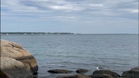 Long Game Gloucester MA