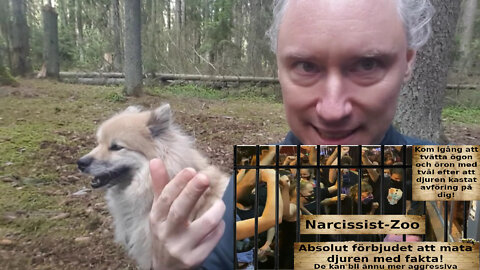 Narcissistisk "omtanke" och hur du avslöjar den. Abort-vaccin. Narcissist-zoo. Hyr grottboende!