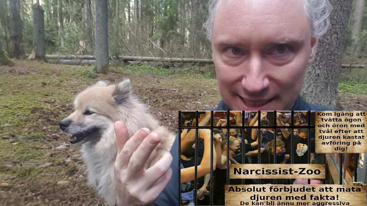Narcissistisk "omtanke" och hur du avslöjar den. Abort-vaccin. Narcissist-zoo. Hyr grottboende!
