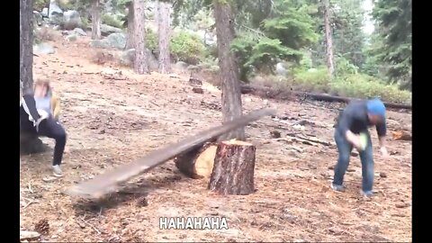 Human Stupidity clips 2022