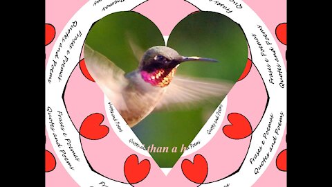 Your love is more beautiful than a hummingbird [Quotes and Poems]