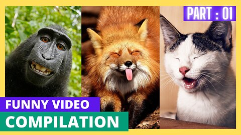 Funniest Animals 2023 😂 New Funny Cats and Dogs Videos 😻🐶 Part 1