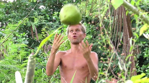 One coconut, long stick and hungry man , Koh Phangan, Thailand