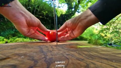 The Best Lasagna Ever cooked in Nature ASMR Cooking