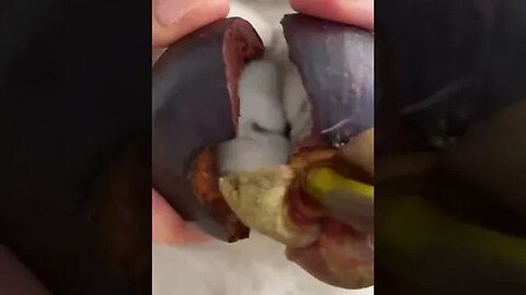 Baby Cats - Cute and Funny Cats #shortspetsvideos #cuteanimals #cats