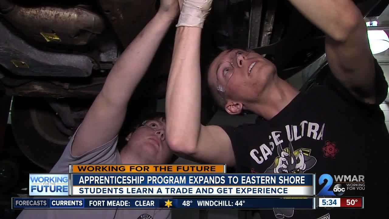 Youth apprenticeship program helping students reach promising careers