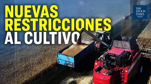 Restricciones a agricultores de Canadá e Irlanda pueden afectar la producción de alimentos