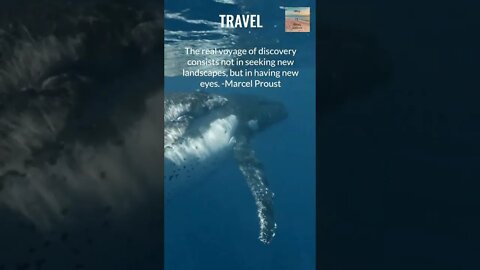 The real voyage of discovery consists...in having new eyes - Travel Video - Travel Quote #shorts