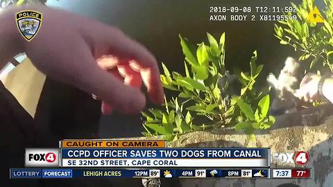 Officer rescues dog from Florida canal, gets bit