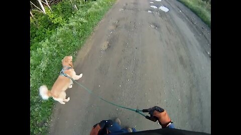 July 13th 57º had been foggy but burning off, Flynn delivers early