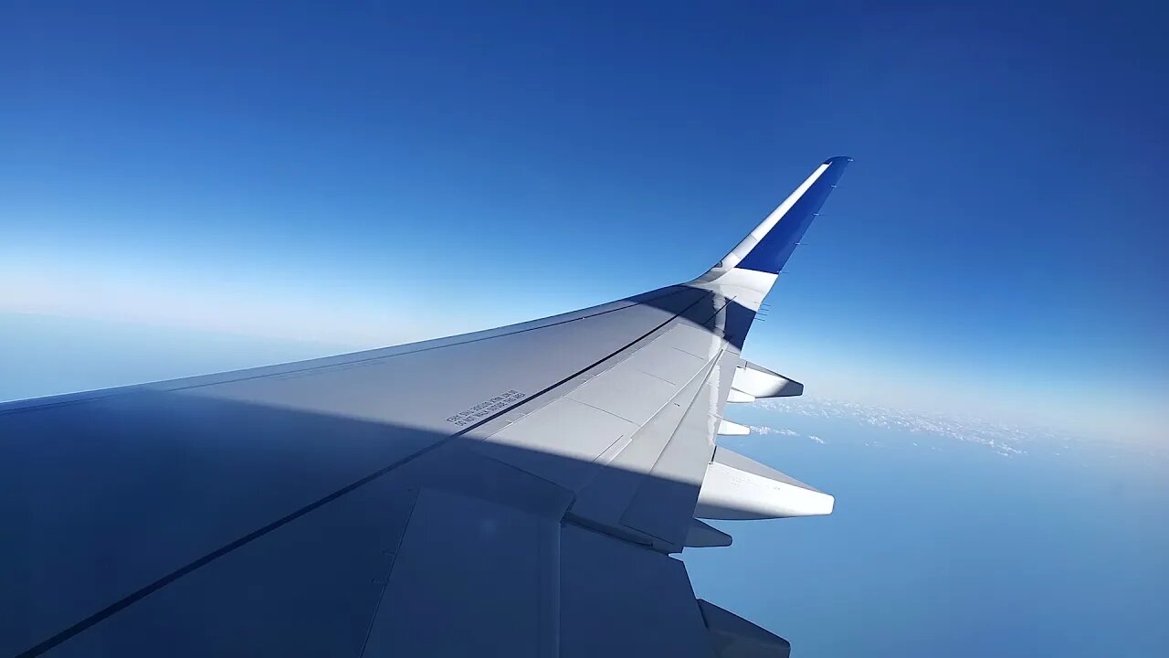 CLEAN WING A 321 DELTA