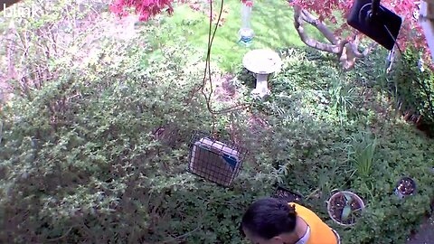 1_WEST_FLOODLIGHT_VIDEO_CAM_2023-04-08T11_49_26-0400.mp4
