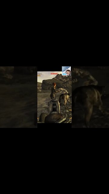 they look like komodo dragons #falloutnewvegas #fallout #funny