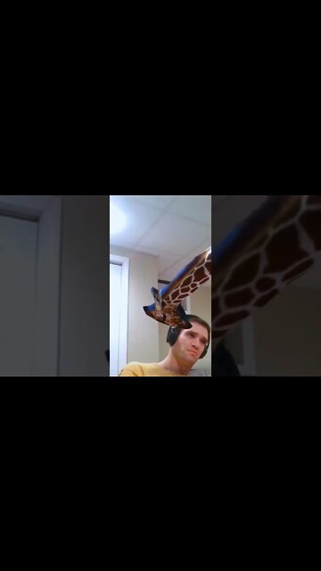 Baby Giraffe Problems #shorts