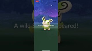 Shiny spinda
