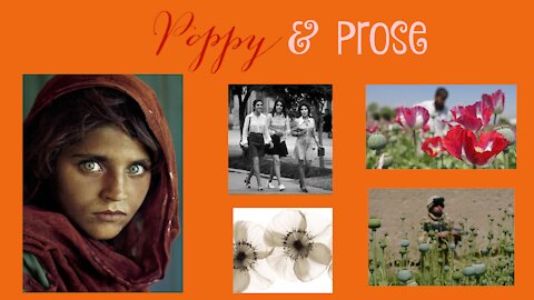 Poppy & Prose *Afghanistan Vietnam 2.0*