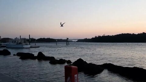 Carolina and Kure Beach, NC with Robin on the Road, Your Concierge for all Things Travel 2021
