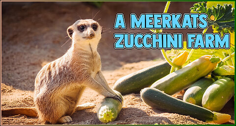 Improv Scene - Meerkat wants to be a Farmer