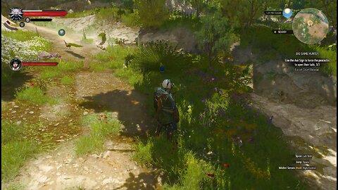 The Witcher 3 big game hunter
