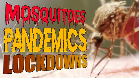 Mosquitoes Pandemics Lockdowns