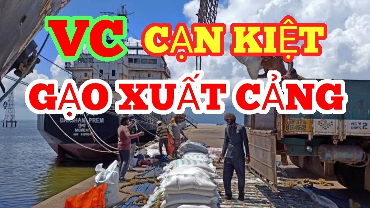 VC GIẢM XUẤT CẢNG GẠO GẦN MỘT NỬA CHO THẤY KINH TẾ LỤI TÀN