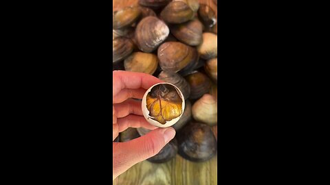 Exotic Filipino Food