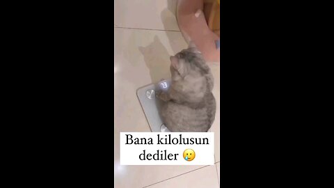 Anyone who is thin likes to exercise by himself I like chubbier