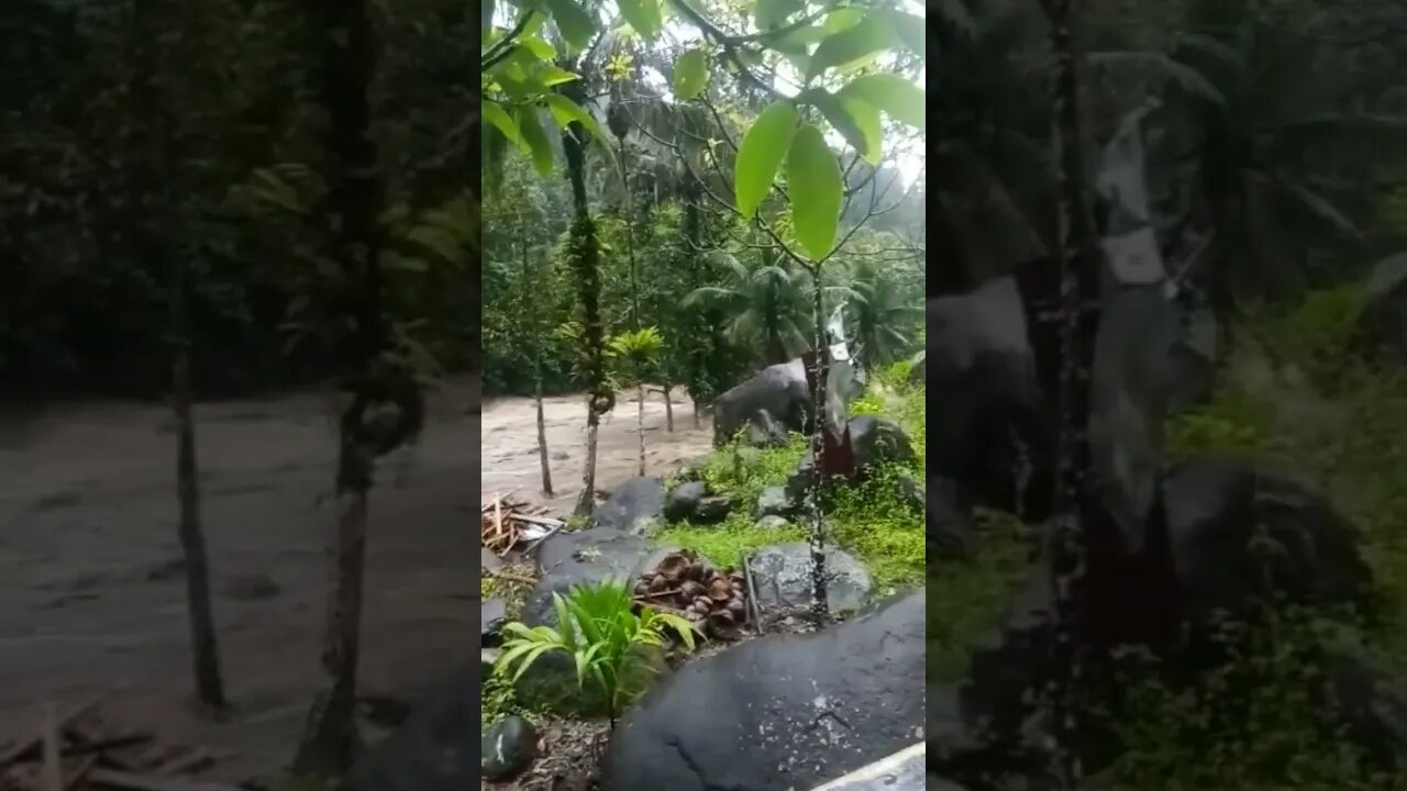 Meluap... Banjir di Silaing Padang Panjang #news #sumbar #padangpanjang