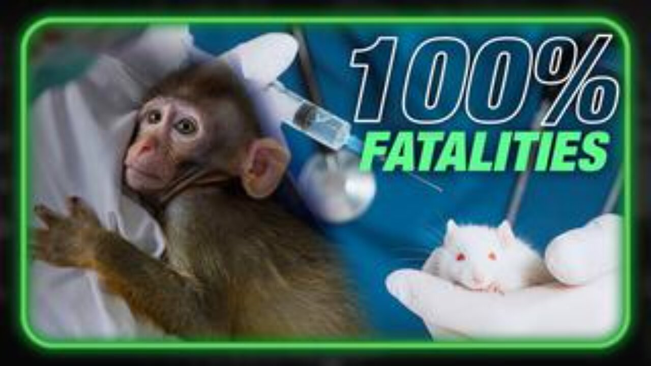 Universities Secretly Studied Covid Vaccine Before Rollout: Shots Killed 100% of Mice and Monkeys