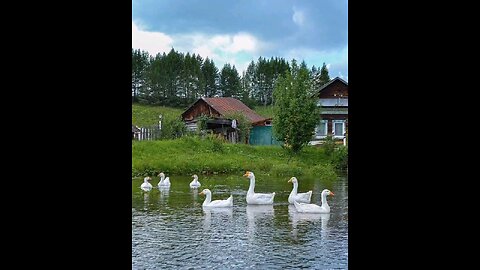 Village sketches from Perm region from our subscriber...