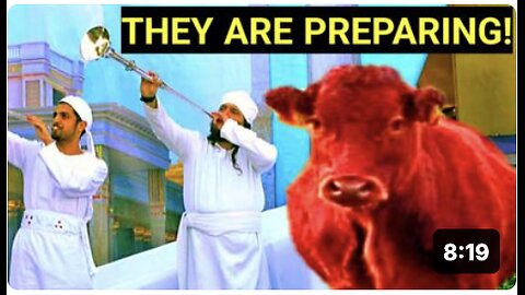 RITUAL BEGINS! Major Red Heifer Sacrifice Update!