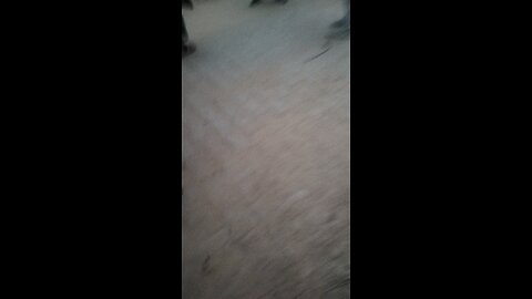 shaadi me dance