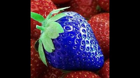 Remède anti-viral aux fraises 2