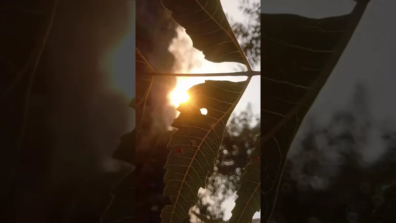 new #suting to #iphone14promax to be view ✨ is the best #shortvideo to #sweet video 📷 #shortvideonk