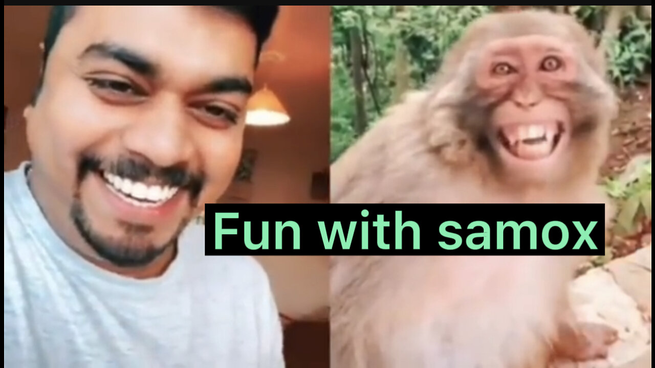 Troll Prank Dog Funny & fake Lion and Fake Tiger Prank To dog & Huge Box Prank to dog😂🤣ðŸ˜